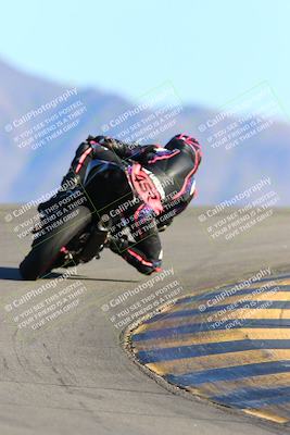 media/Jan-09-2022-SoCal Trackdays (Sun) [[2b1fec8404]]/Turn 12 Backside (130pm)/